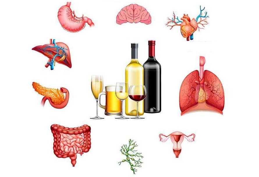 alkoholi mõju kehale